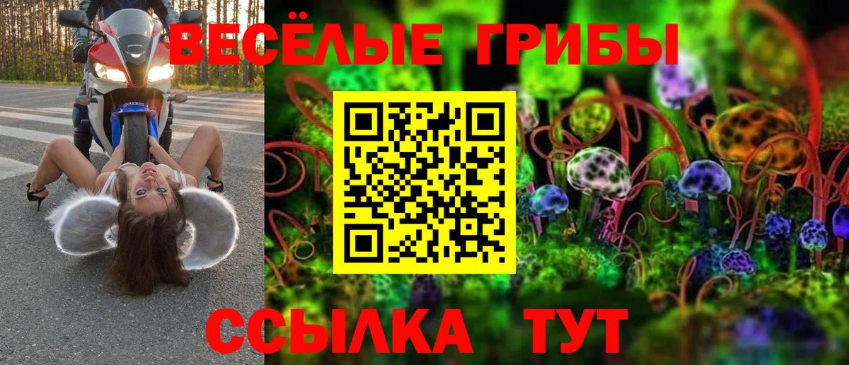 Галлюциногенные грибы Cubensis  Псилоцибиновые грибы мицелий  Ноябрьск  Вход с VPN 